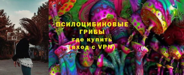 мет Медвежьегорск