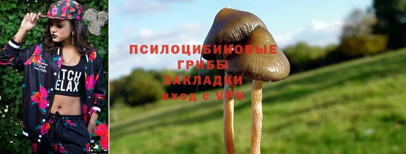 MEGA ссылки  Копейск  Псилоцибиновые грибы Psilocybe 