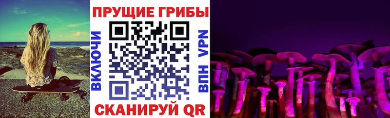 Псилоцибиновые грибы мицелий  Копейск 