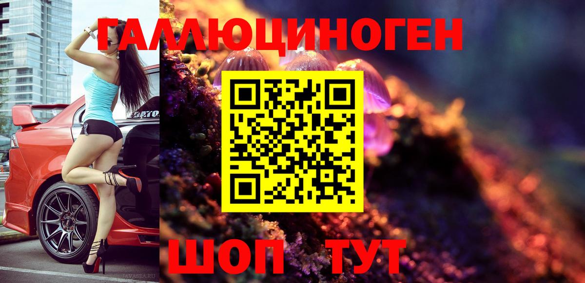 Копейск  Псилоцибиновые грибы GOLDEN TEACHER  где продают наркотики  Галлюциногенные грибы GOLDEN TEACHER  Вход с VPN 