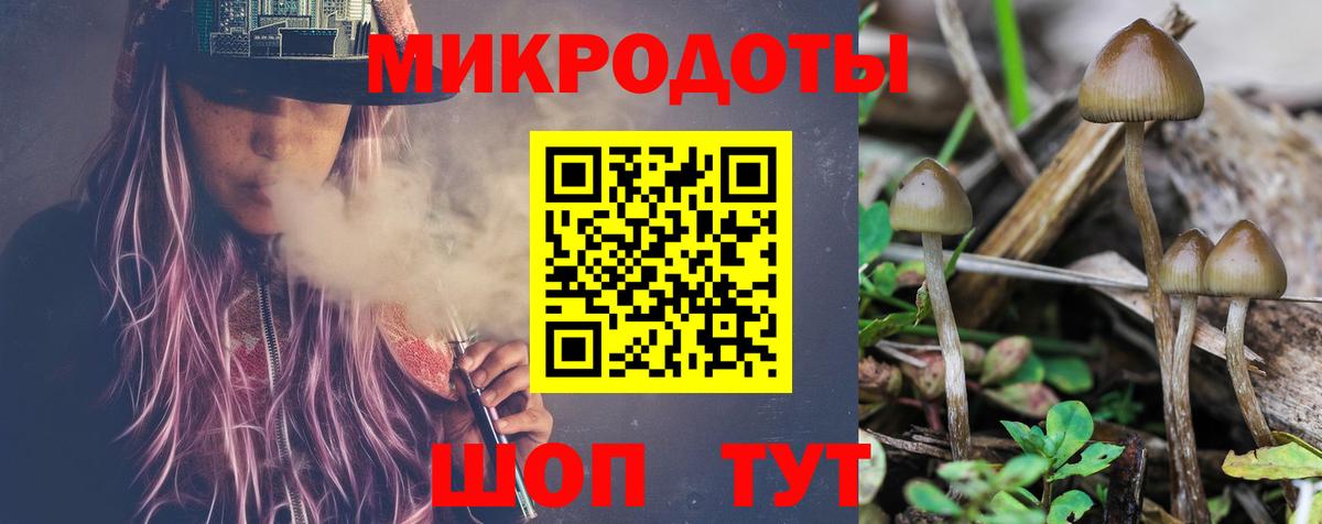 Галлюциногенные грибы Psilocybe Копейск